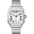 Carti3 Steel White Roman Blue Hands
